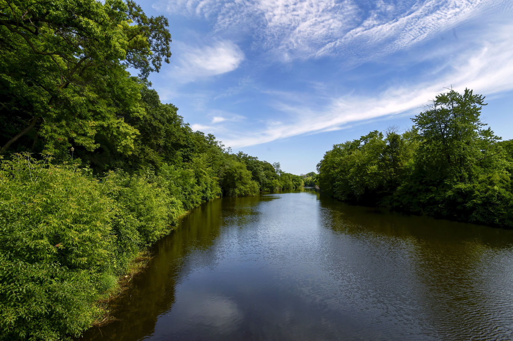 Root River